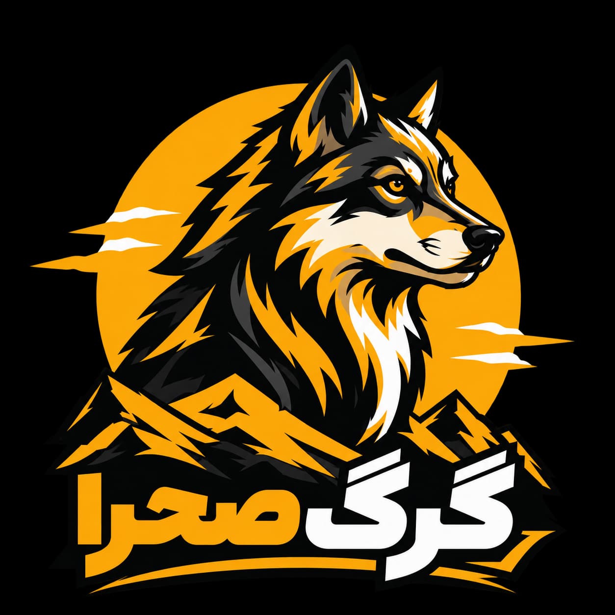 گرگ صحرا